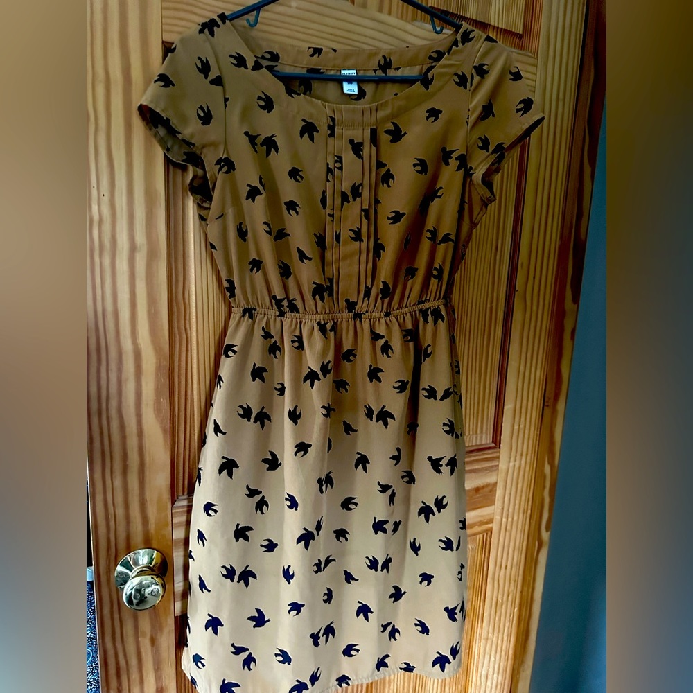 Women’s dress